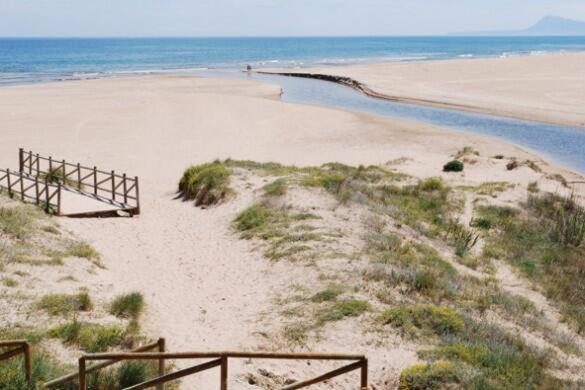 Juncos Y Lirios, Appartement